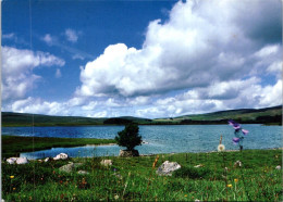 19-5-2024 (5 Z 35) UK -  (posted To Australia 2008) Malham Tarn Frswater Lake - Other & Unclassified