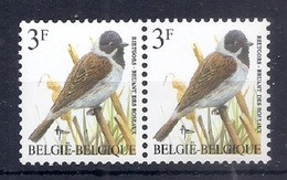 BELGIE * Buzin * Nr 2425 * Postfris Xx * TYPO PAPIER - WITTE GOM - 1985-.. Birds (Buzin)