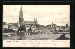 AK Ulm A. D., Donaupartie Mit Münster  - Ulm