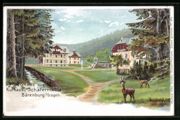 Lithographie Bärenburg /Erzgeb., Kurhaus Schäfermühle  - Autres & Non Classés