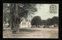 CPA Chateau-du-Loir, La Place  - Chateau Du Loir