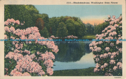 R007700 Rhododendrons. Washington State Flower. C. P. Johnston. No 1515 - Monde