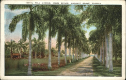 11112058 Coconut Grove Florida James Estate
Royal Palm Avenue United States - Autres & Non Classés
