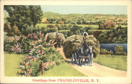 11111951 Franklinville_New_York Pferdefuhrwerke - Autres & Non Classés