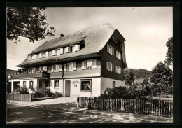AK Hinterzarten /Schwarzwald, Haus Silberdistel, Fremdenheim, Inh. O. Schwär  - Hinterzarten