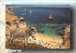 72557693 Algarve Strand Muli  Algarve - Other & Unclassified