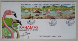 Bahamas - Enveloppe Premier Jour D'émission Avec Timbres Thème Flamants Roses (1982) - Flamingo's