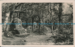 R009450 Old Stone Seat In The Landslip Near Shanklin. I. W. Nigh. RP. 1946 - World