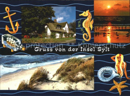 72555556 Sylt Duene Friesenhaus Insel Sylt - Sylt