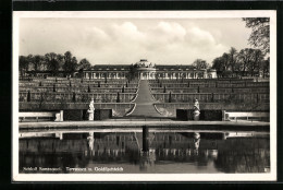 AK Schloss Sanssouci, Terrassen Und Goldfischteich  - Other & Unclassified
