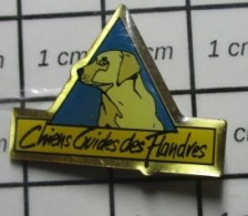 613e Pin's Pins / Beau Et Rare / THEME : ANIMAUX / CHIENS GUIDES DES FLANDRES - Animales