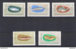 1963 Vietnam Del Nord - Yvert N. 339-43 - Pesci - 5 Valori - MNH** - Fishes