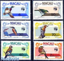 Macao 1984 Aussipex, Birds 6v, Mint NH, Nature - Birds - Ducks - Kingfishers - Woodpeckers - Ongebruikt