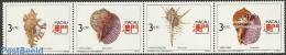 Macao 1991 Shells 4v [:::] Or [+], Mint NH, Nature - Shells & Crustaceans - Unused Stamps