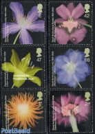 Great Britain 2004 Horticultural Soc. 6v, Mint NH, Nature - Flowers & Plants - Unused Stamps