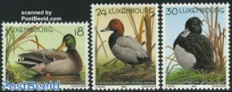 Luxemburg 2000 Ducks 3v, Mint NH, Nature - Birds - Ducks - Ongebruikt