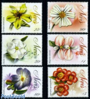 Nevis 2009 Flowers 6v, Mint NH, Nature - Flowers & Plants - St.Kitts En Nevis ( 1983-...)