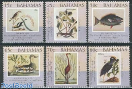 Bahamas 2002 Catesby Plants & Animals 6v, Mint NH, Nature - Birds - Ducks - Fish - Flowers & Plants - Vissen