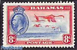 Bahamas 1935 Definitive 1v (bird & Lighthouse), Mint NH, Nature - Various - Birds - Lighthouses & Safety At Sea - Phares