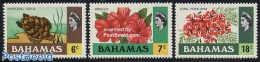 Bahamas 1971 Definitives 3v, Mint NH, Nature - Flowers & Plants - Turtles - Other & Unclassified