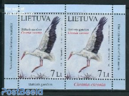 Lithuania 2013 White Stork S/s, Mint NH, Nature - Birds - Lithuania
