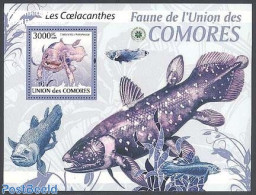 Comoros 2009 Coelacanth S/s, Mint NH, Nature - Fish - Poissons