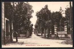 CPA Cernay-Ermont, Allee De La Fontaine  - Ermont-Eaubonne