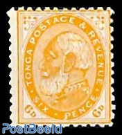 Tonga 1892 King George Tupou I 1v, Unused (hinged) - Other & Unclassified