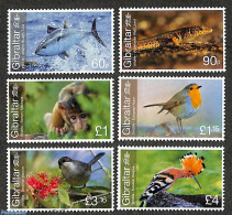 Gibraltar 2023 Gibraltar Wildlife 6v, Mint NH, Nature - Animals (others & Mixed) - Birds - Fish - Monkeys - Reptiles - Fishes