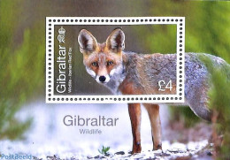 Gibraltar 2023 Wildlife S/s, Mint NH, Nature - Animals (others & Mixed) - Gibraltar
