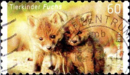 RFA Poste Obl Yv:2875A Mi:3053 Tierkinder Fuchs (TB Cachet Rond) - Used Stamps