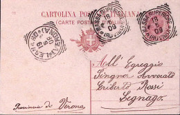 1909-MASSA SUPERIORE/(ROVIGO) Tondo Riquadrato (8.8) Su Cartolina Postale Leoni  - Ganzsachen