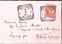 1894-FELTRE/(Belluno) Tondo Riquadrato (9.9) Su Busta Affrancata Effigie C.20 Fo - Marcofilía