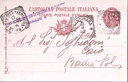 1902-BADIA POLESINE/(ROVIGO) Tondo Riquadrato (8.8) Su Cartolina Postale Effigie - Entiers Postaux
