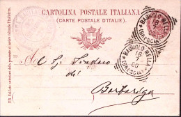 1890-BAGNOLO MELLA/(BRESCIA) Tondo Riquadrato (18.7) Su Cartolina Postale Effigi - Postwaardestukken