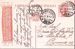 1924-CARTOLINA POSTALE C.30 Noi I Sopravvissuti (SU TRE RIGHE) Viaggiata S. Quir - Entero Postal