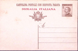1925-SOMALIA Cartolina Postale RP Michetti C.40+40 Mill.25 Nuova - Somalië