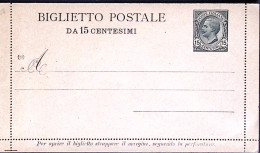 1919-BIGLIETTO POSTALE Leoni C.15 Mill.(19) Cartoncino Grigio Verde Nuovo - Stamped Stationery