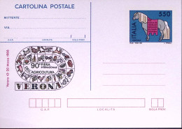 1988-Cartolina Postale Lire 550 Fiera Agricoltura Nuova - Entiers Postaux