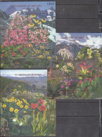 BHUTAN, 2000, Flowers Of The Himalayan Mountains , MS, MNH, (**) - Bhután