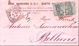 1894-BUSTO ARSIZIO Tondo Riquadrato (21.8) Su Cartolina Affrancata Stemmi Coppia - Marcophilia