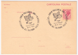 1974-PALLANZA SETTIMANA DEL TULIPANO (25.4) Annullo Speciale Su Cartolina Postal - 1971-80: Marcofilie