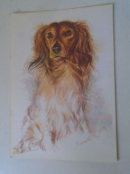 D203134    CPM  Dog Chien Hund - Portrait De Chien, épagneul, Dessin Signé Bernadette Voz - Chiens