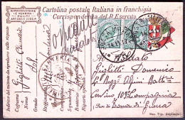 1917-Posta Militare/73 C.2 (14.11) Su Cartolina Franchigia Affrancata Leoni Copp - Marcophilia
