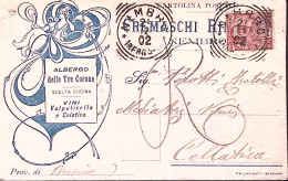 1902-NEMBRO Remaschi Albergo Delle Tre Corone Intestazione A Stampa Su Cartolina - Poststempel