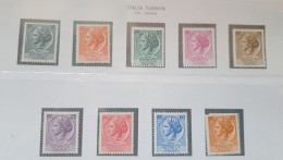 1955 SIRACUSANA STELLE - 1946-60: Nieuw/plakker