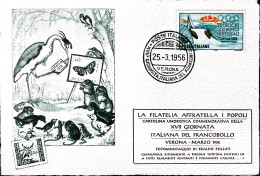 1956-VERONA XVII^GIONATA FRANCOBOLLO Annullo Speciale (25.3) Su Cartolina - Manifestaciones