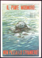 1949-Trieste A L.20 Elezioni Di Trieste Isolato Su Cartolina "Il Piave Mormorò N - Patriottisch