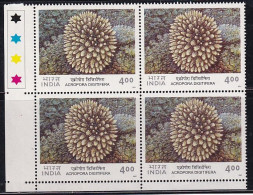 T/L Block Of 4, Digitate Coral, Corals Of India Series 2001 MNH, Animalia, - Blocchi & Foglietti