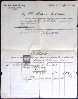 1889-Bolzano Fattura Quietanzata Con Marca Da Bollo Da 5 Kr. - Storia Postale